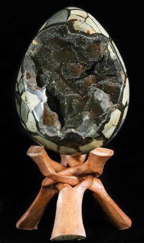 Septarian Dragon Egg Geode - Black Crystals #50827